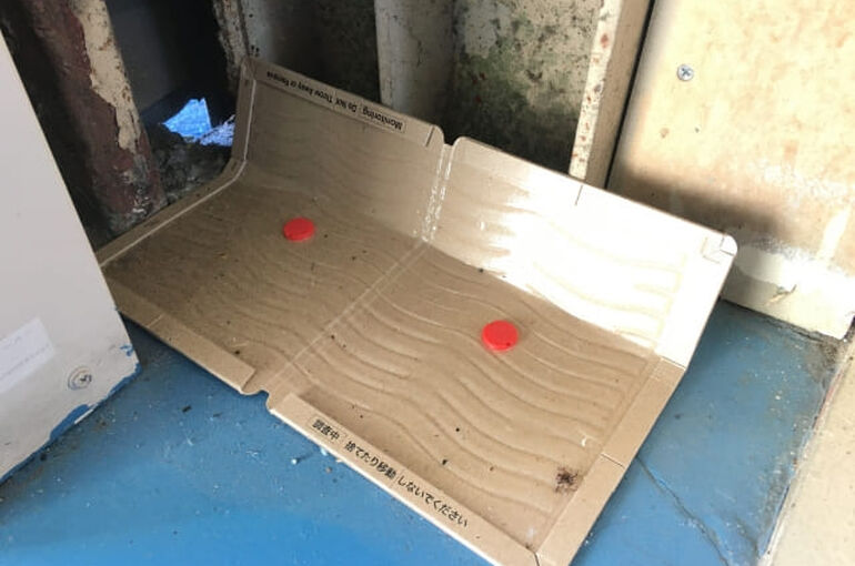 粘着シート