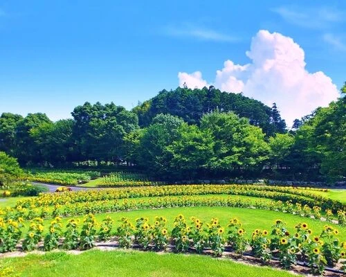 害虫駆除は夏場が最も忙しい！活発化する相手と対策について