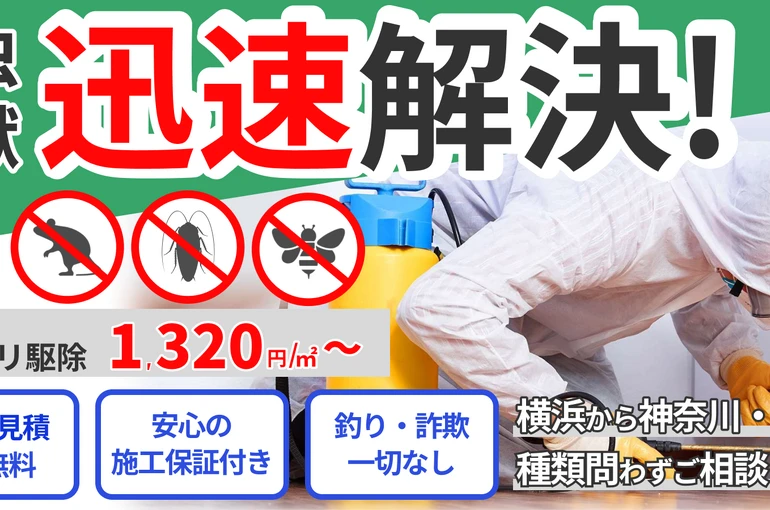 安心して依頼出来る害虫駆除業者の見抜き方とは？