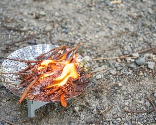 害虫を燃やして駆除するのは危険？そのリスクと安全な対策方法とは