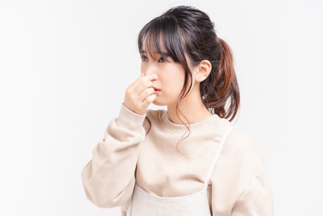 ネズミ駆除後の臭いが気になる方へ！原因と対策、業者に依頼するメリットと