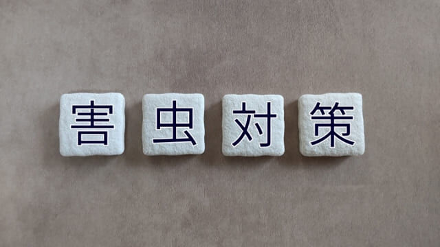 害虫駆除は予防がカギ！家庭でできる安全な対策とプロが教える被害を防ぐコ