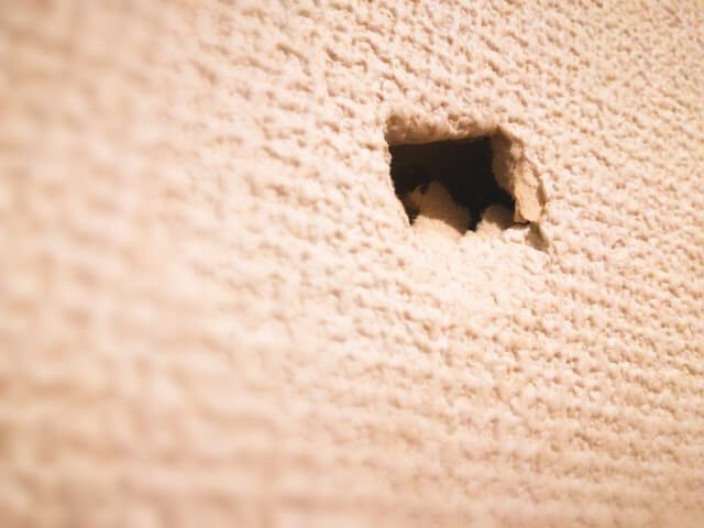 壁の中にネズミがいるかも？正しい対処法と駆除のポイントを解説