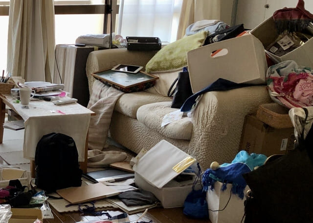 ゴミ屋敷と害虫の関係とは？害虫駆除と清掃で安心できる暮らしを取り戻そう