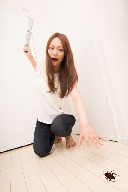 部屋に虫が出て困ったら？安全・安全なおすすめの害虫駆除