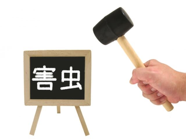 害虫駆除の内容とは？被害から家を守るために知っておくべきこと