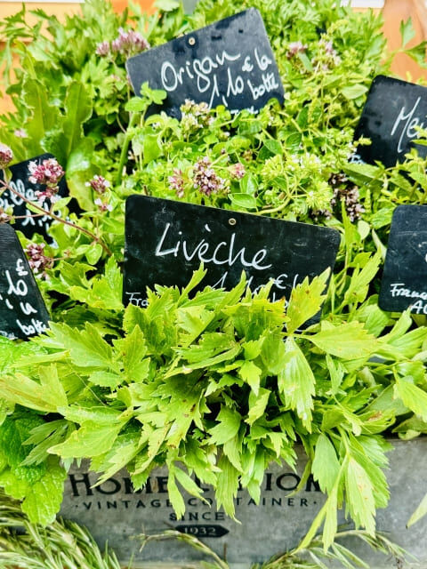ナチュラルなのに効果的！ハーブを使ったやさしい害虫駆除