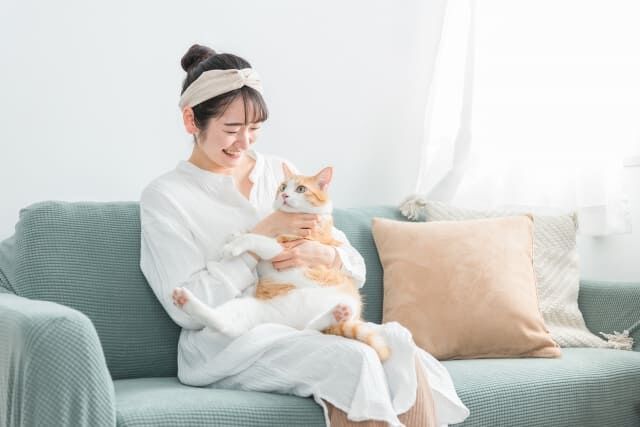猫がいる家庭の害虫駆除、どうすれば安心？安全な方法と注意点を解説