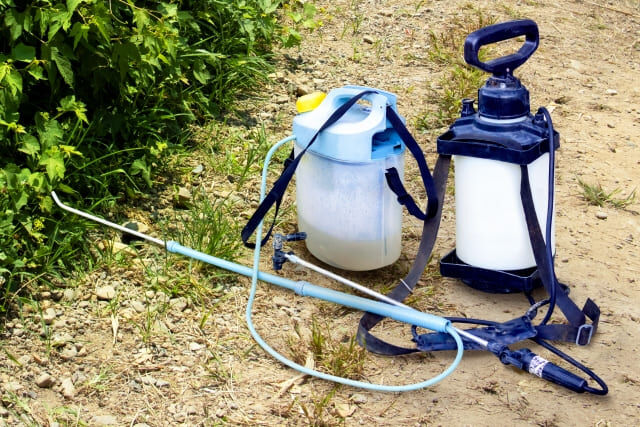 害虫駆除の仕事内容とは？ただの虫退治ではないプロの仕事を解説